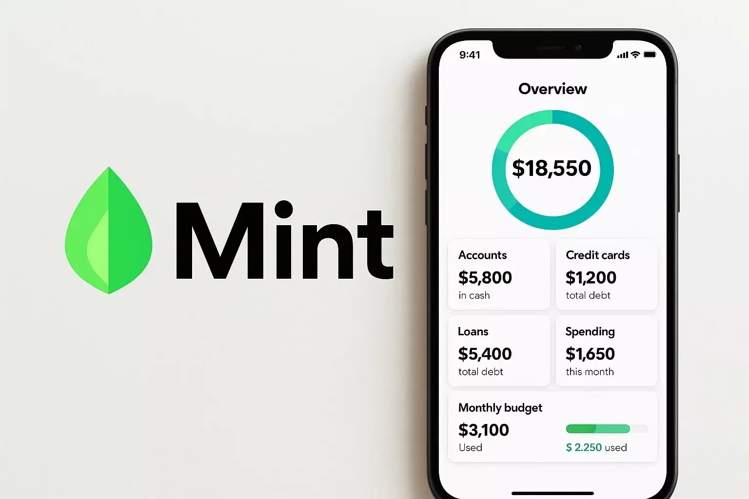 Switching from Mint. What to Use Instead?