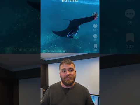 Bali, Indonesia entry requirements change 2026?